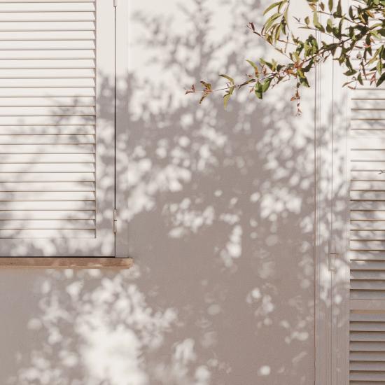 Tree casting shadow on a wall with window