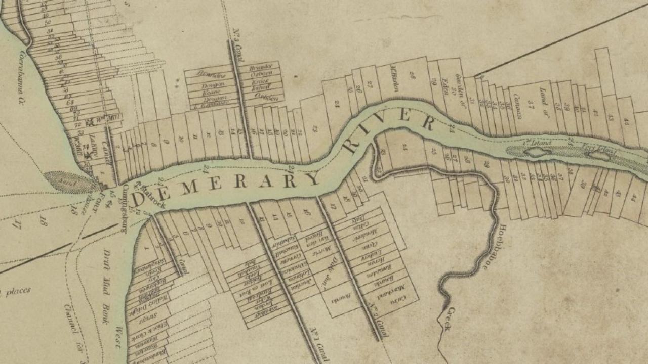 Demerara