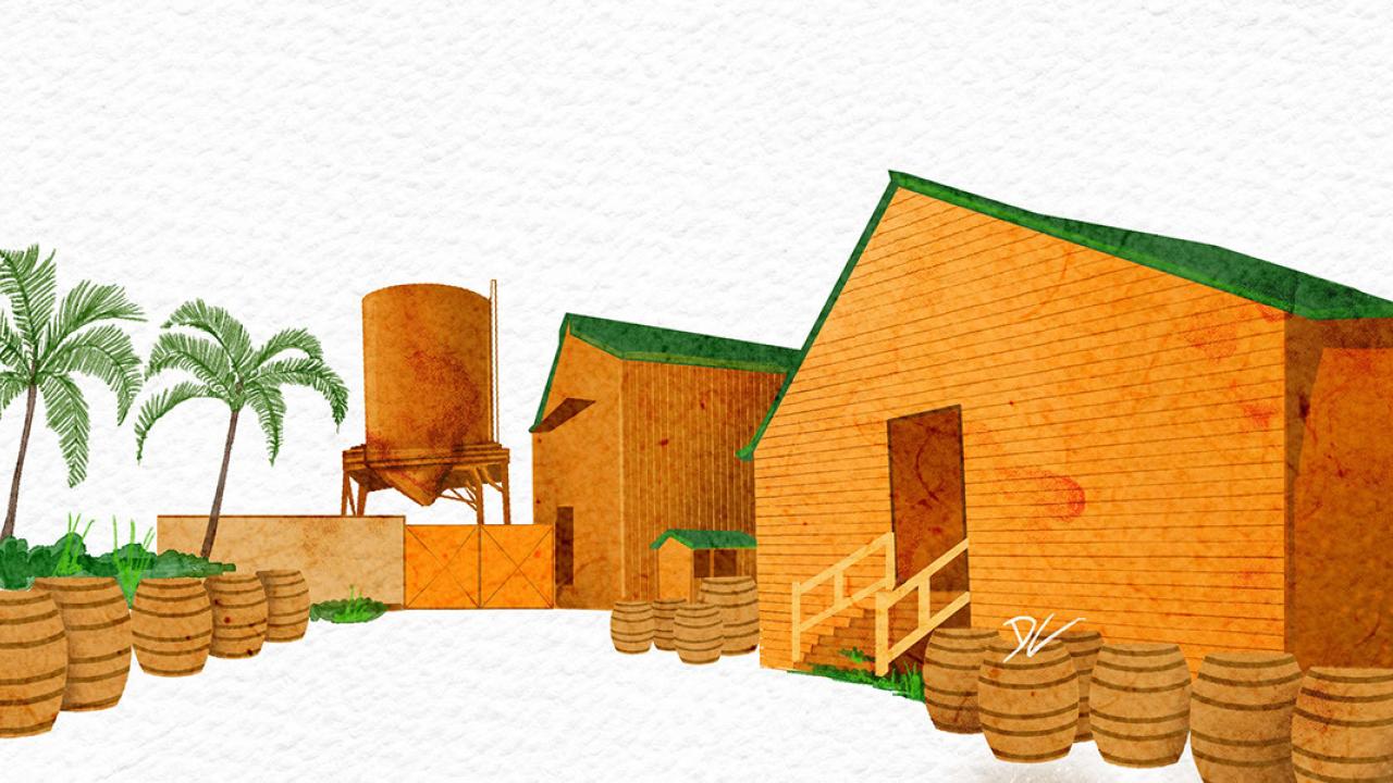 Illustration of Hampden Estate Distillery
