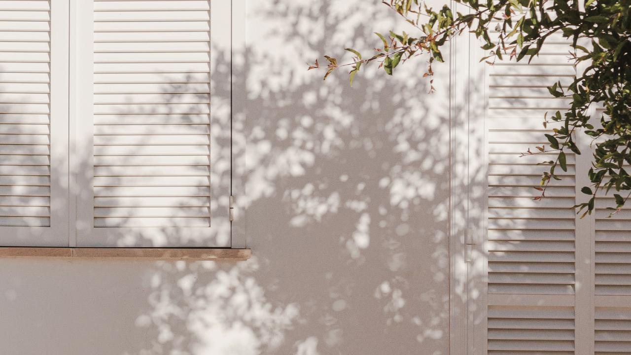 Tree casting shadow on a wall with window