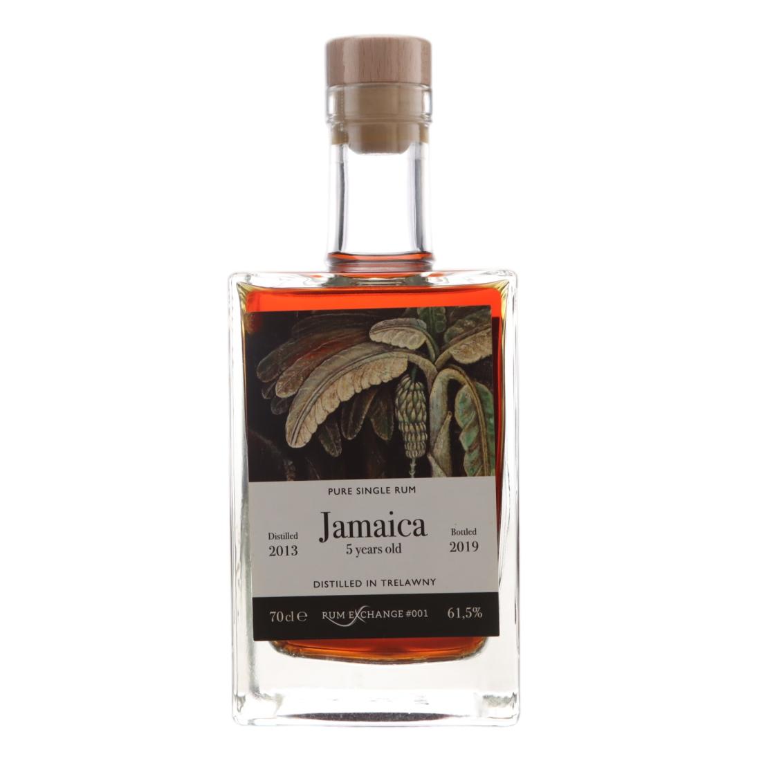 Hampden 2013 5 Year Old #001