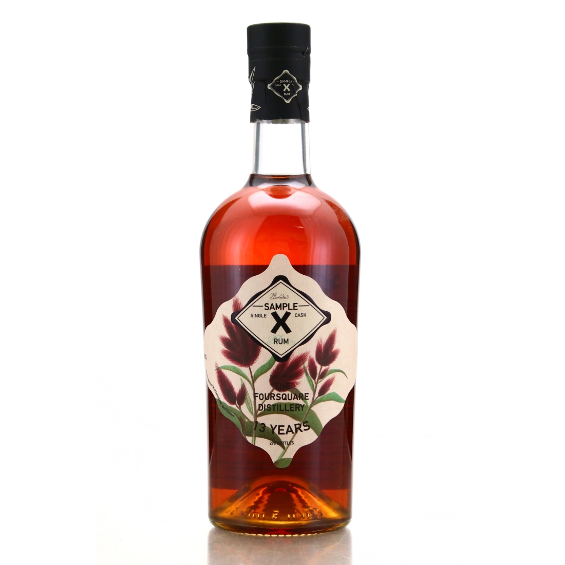 Foursquare 13 Year Old Sample X
