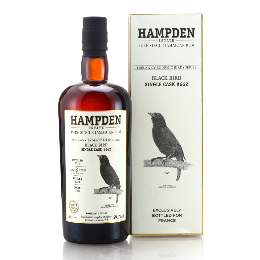 Image for Hampden OWH 2012 Trelawny Endemic Birds 8 Year Old - Black Bird