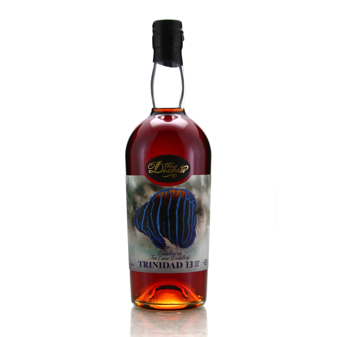 Ten Cane 2008 The Duchess 13 Year Old