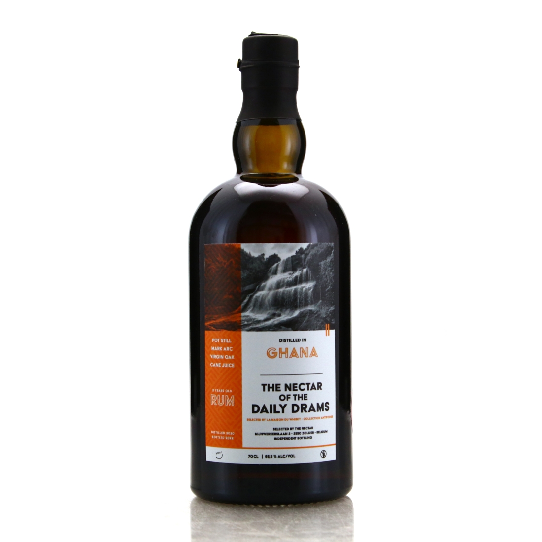 Ghana ARC 2020 Nectar of the Daily Drams 2 Year Old / LMDW