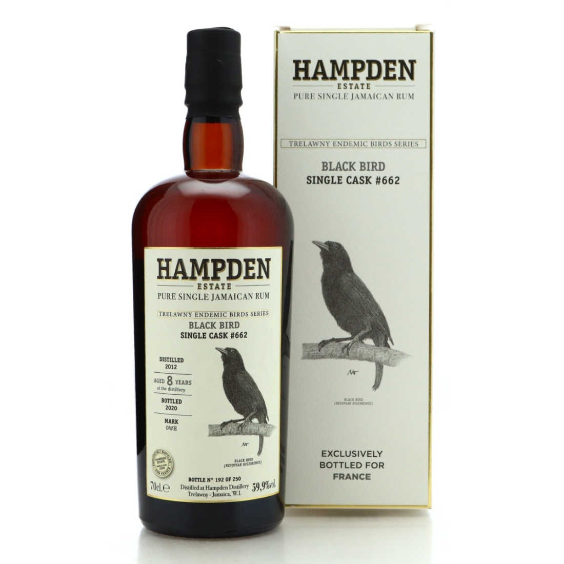Image for Hampden OWH 2012 Trelawny Endemic Birds 8 Year Old - Black Bird